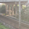 客车合集:HXD1D  0198 南局南段深圳东至西宁K1312.HXD1D 0235 南局南段 徐州至广州东  K677等快速通过惠州西站
