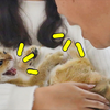 两个话痨，没完没了