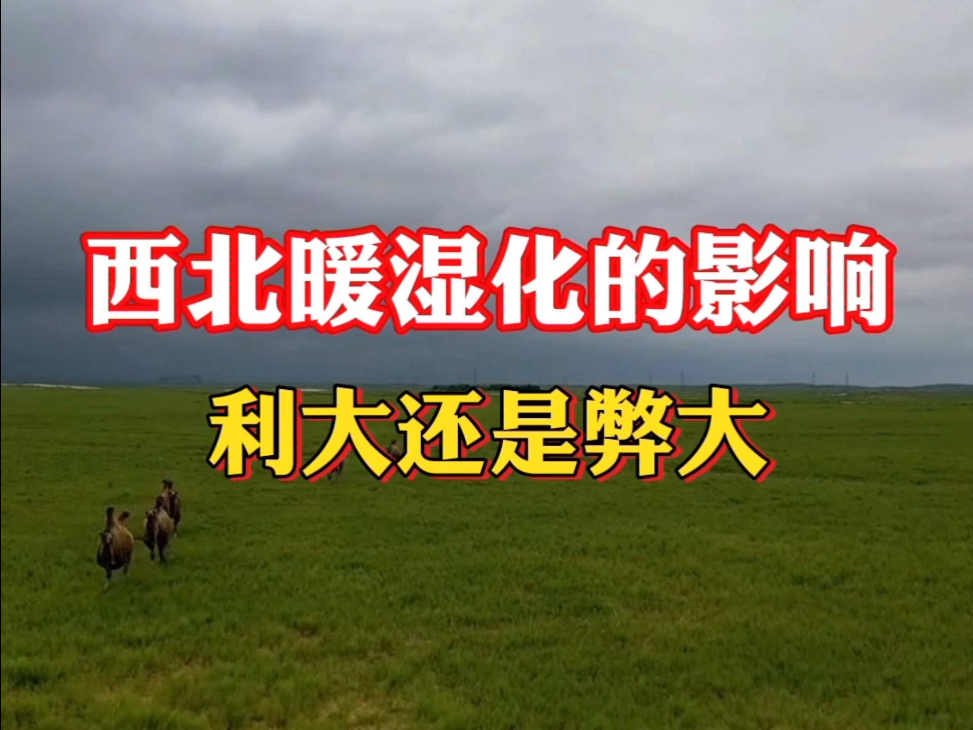 西北暖湿化的影响，利大还是弊大！#西北暖湿化 #甘肃 #新疆 #沙漠农田