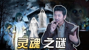 1a65ac3d7f841674656ae4dbc31795928dac26cc.jpg@310w_174h_1c_100q.jpg