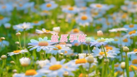 1a7abd06f049ff935911ed09928a13adbcce8442.jpg@480w_270h_1c