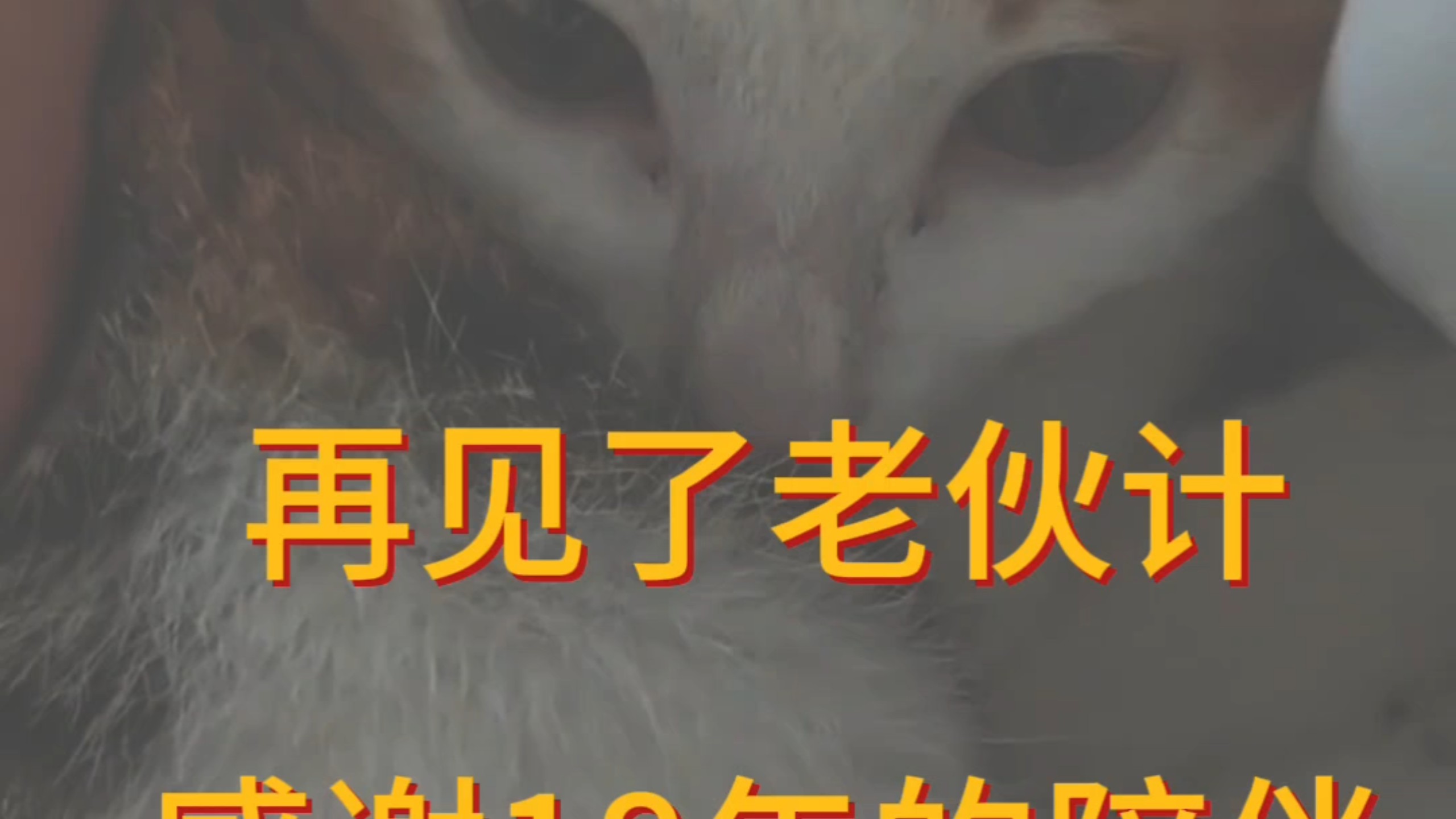 再见了，老伙计，18年的陪伴