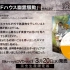 『约定的梦幻岛』BDVol.1 特典CD2「GF House幽灵骚动」【雪飘工作室】