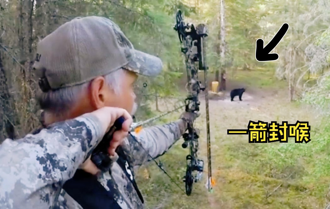 复合弓居然能直接射穿黑熊的身体，这威力太惊人了 -，狩猎精彩时刻