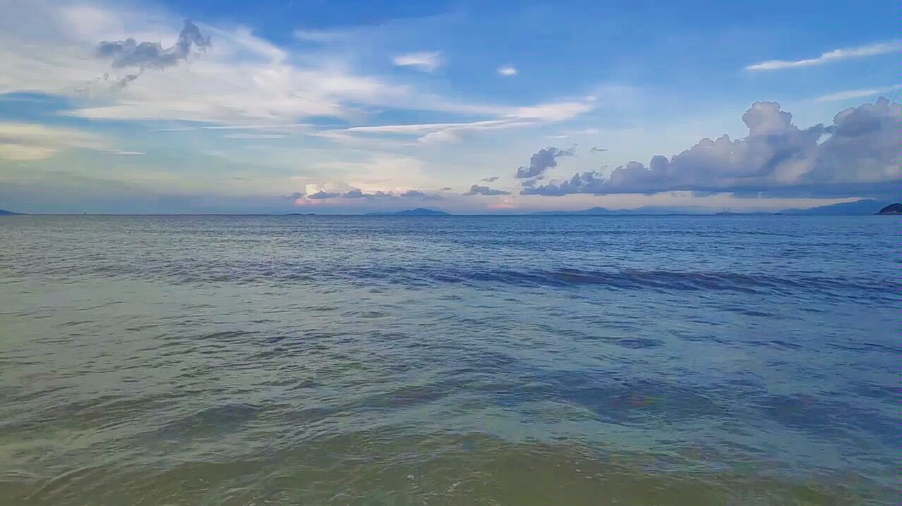 【短视频】面朝大海,春暖花开