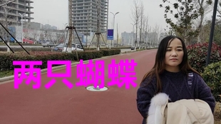 迟来的爱歌曲谱_迟来的爱歌曲图片(4)