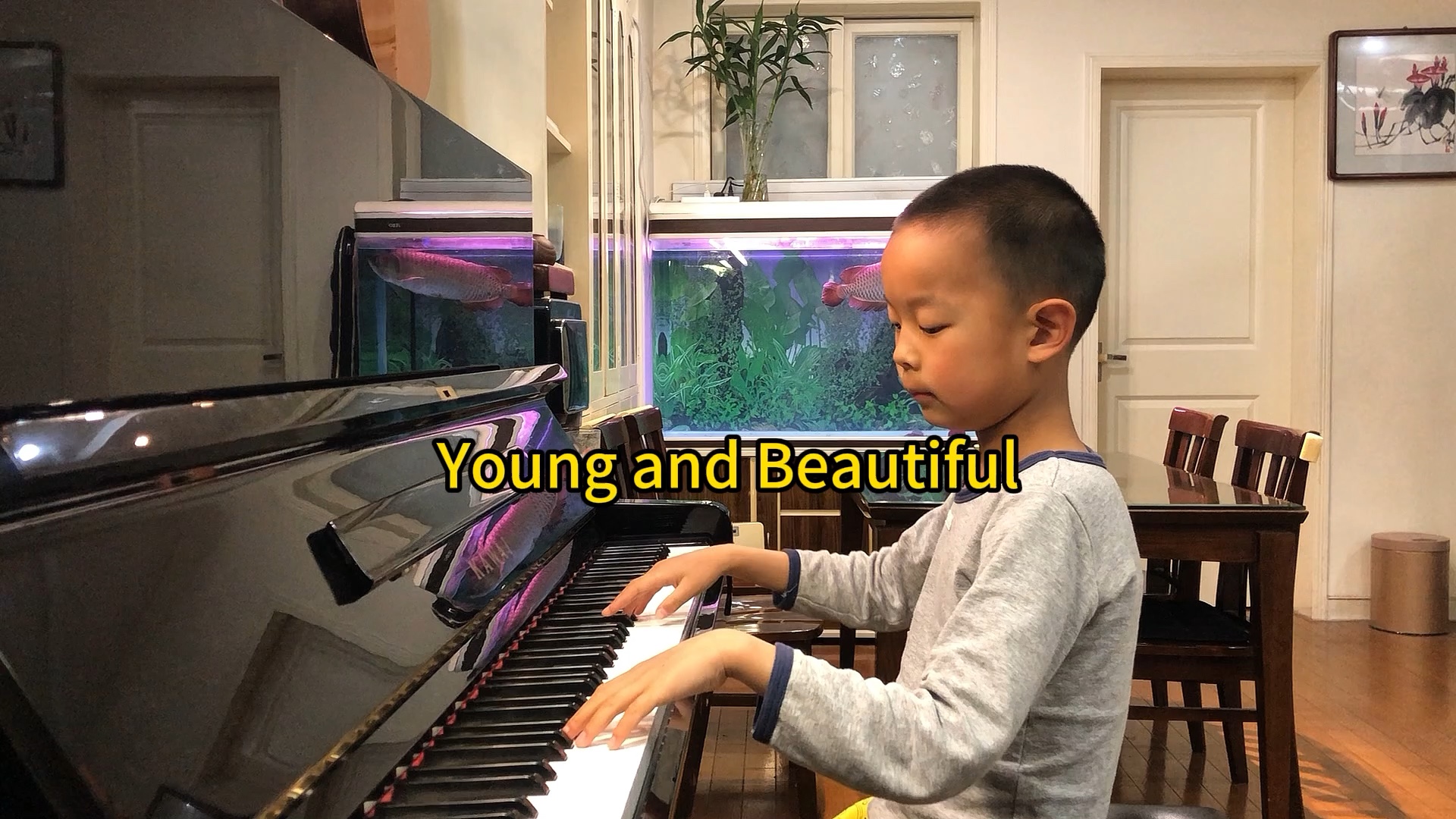 《young and beautiful 》拉娜·德雷（Lana Del Rey）演唱歌曲，老铁7岁钢琴演绎，录制于2024年4月29日