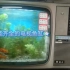 自制电视鱼缸