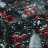一些关于雪的空镜