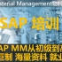 SAP高级顾问养成记_MM模块免费系列课程