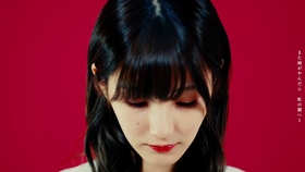 美女董事长的特种兵(3)