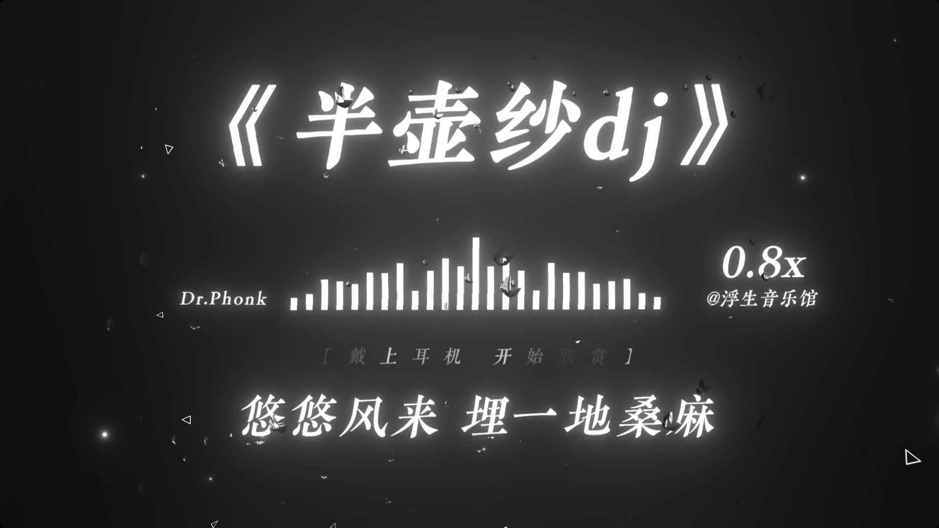 【古风DJ】“怎知那浮生一片草，岁月催人老”丨《半壶纱DJ》