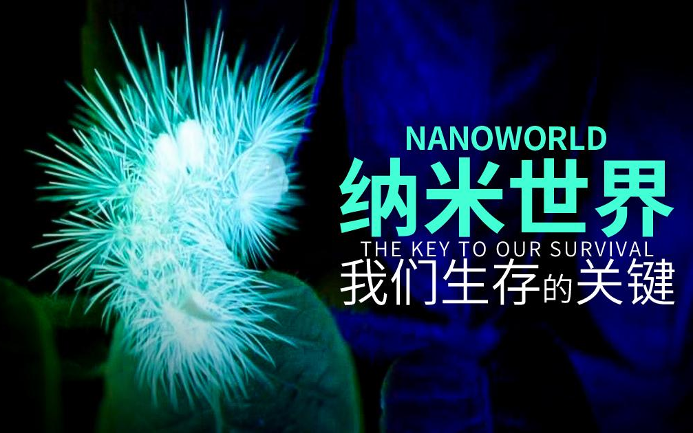 【法国】【纪录片】纳米世界：我们生存的关键 Nanoworld: The Key to Our Survival