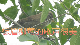 1b3f9fb16096396f84016fc26a40cf568a5fcd2d.png@280w_158h_1c_100q.jpg