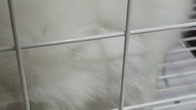 1b50ed3c8ef63d75c04b6a845b96a7ef673e1bd8.jpg@280w_158h_1c_100q.jpg