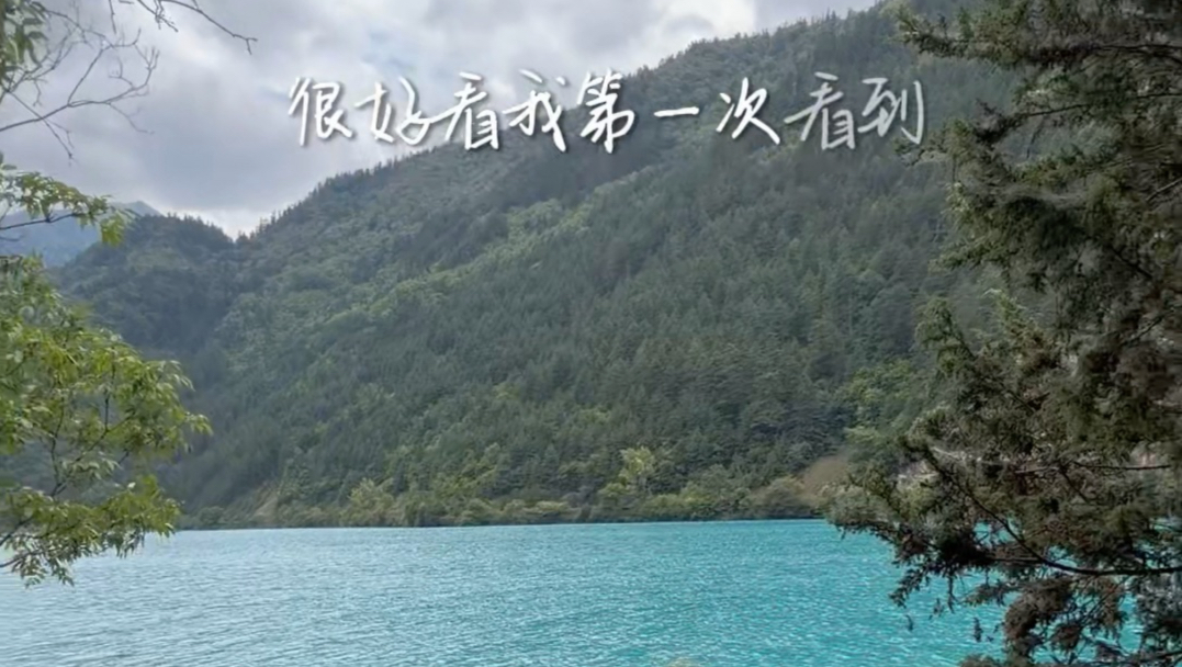 九寨沟的犀牛海，就算阴天，也惊为天人～