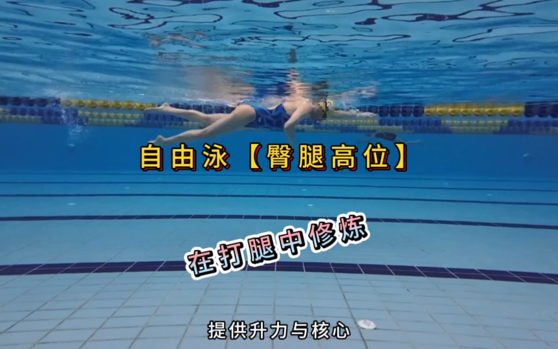 自由泳【臀腿高位】在打腿中修炼