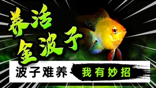 1b94df0e5bace9a5152eab1fdacb2f0ce8e8df2f.jpg@310w_174h_1c_100q.jpg