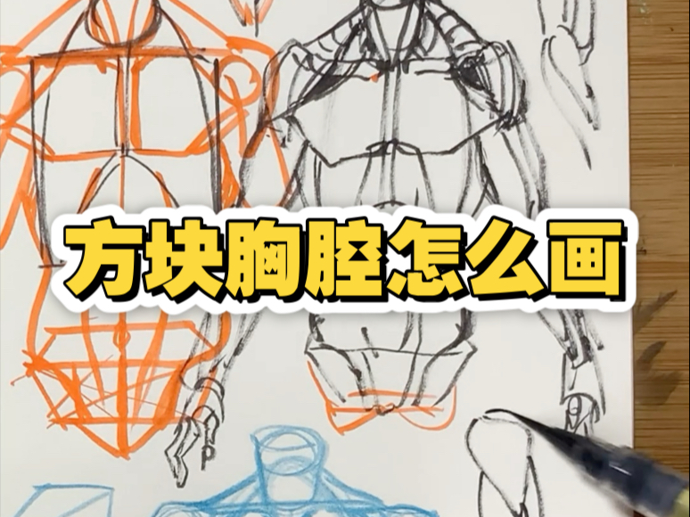 方块胸腔怎么画