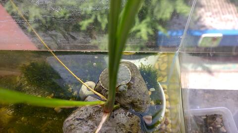 1bad91c362b2f7d8ee2409de0c6e69918f58894e.jpg@480w_270h_1c