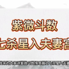 紫微斗数七杀星入夫妻宫是谁改变了谁