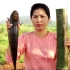 【柬埔寨乡村美食】美味竹筒鱼，够大够美味