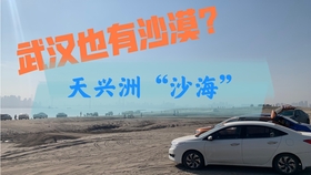 1bd59907e52e981fede00adbbb21e9c7873d7000.jpg@280w_158h_1c_100q.jpg