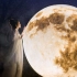 【我的国422】嫦娥嫌弃后羿去月亮上养兔子？真实的情况究竟是怎样的？