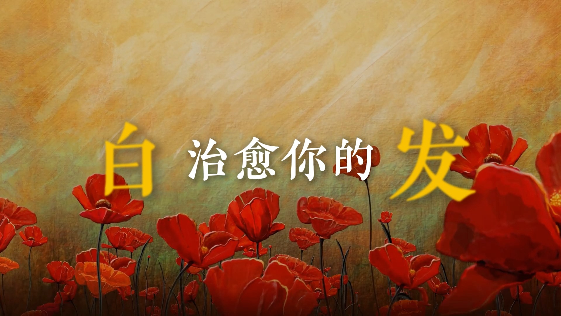 鲜花歌词排版（回春丹乐队）