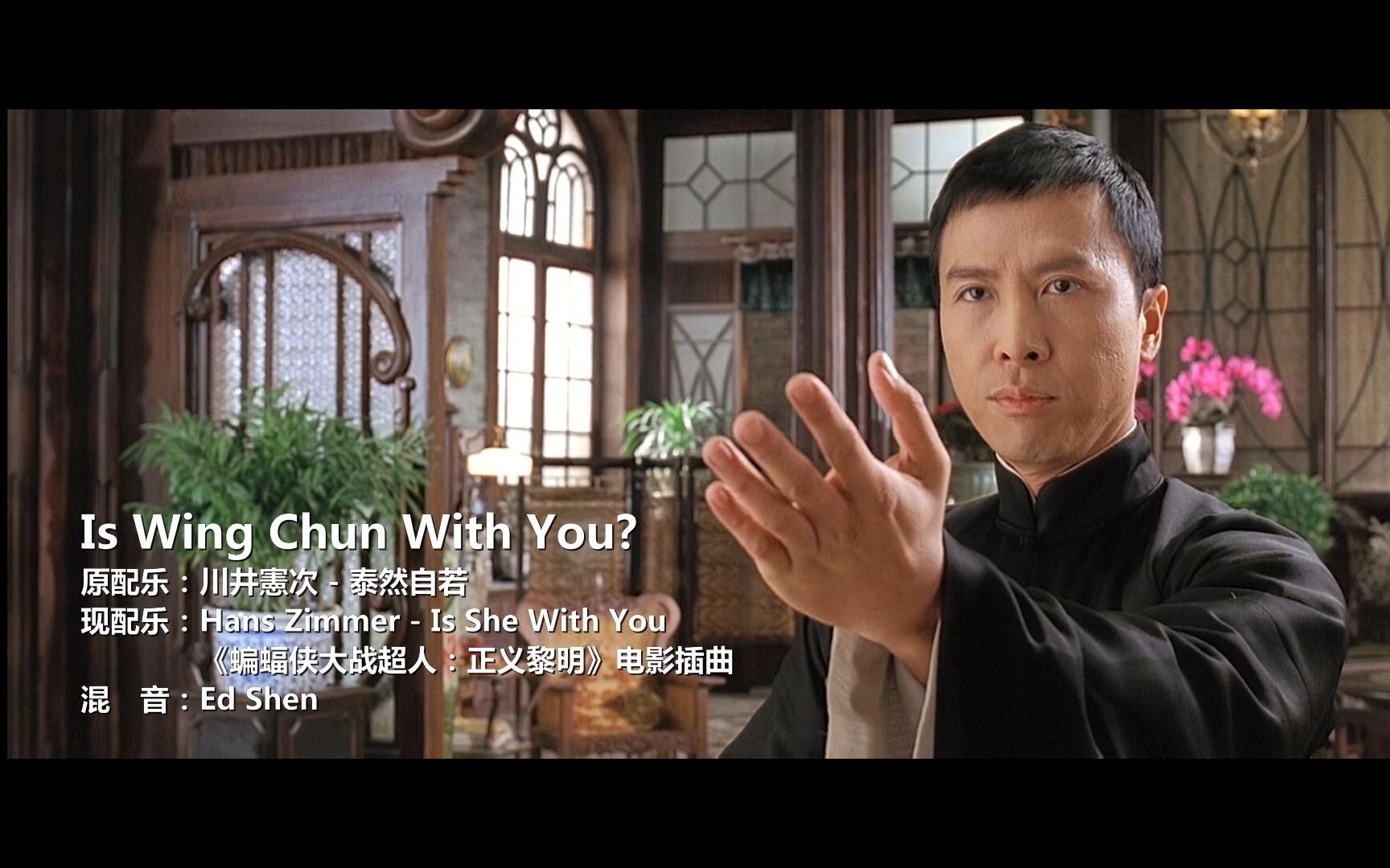 叶问pk金山找 神奇女侠bgm混音:is wing chun with you?