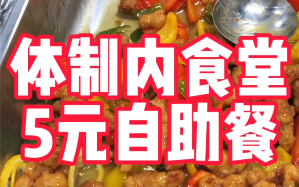 单位食堂日食记| 今天吃糖醋里脊肉哔哩哔哩bilibili