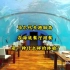 马尔代夫港丽岛，在海底餐厅用餐是一种什么样的体验？#马尔代夫#马尔代夫港丽岛#旅行推荐官