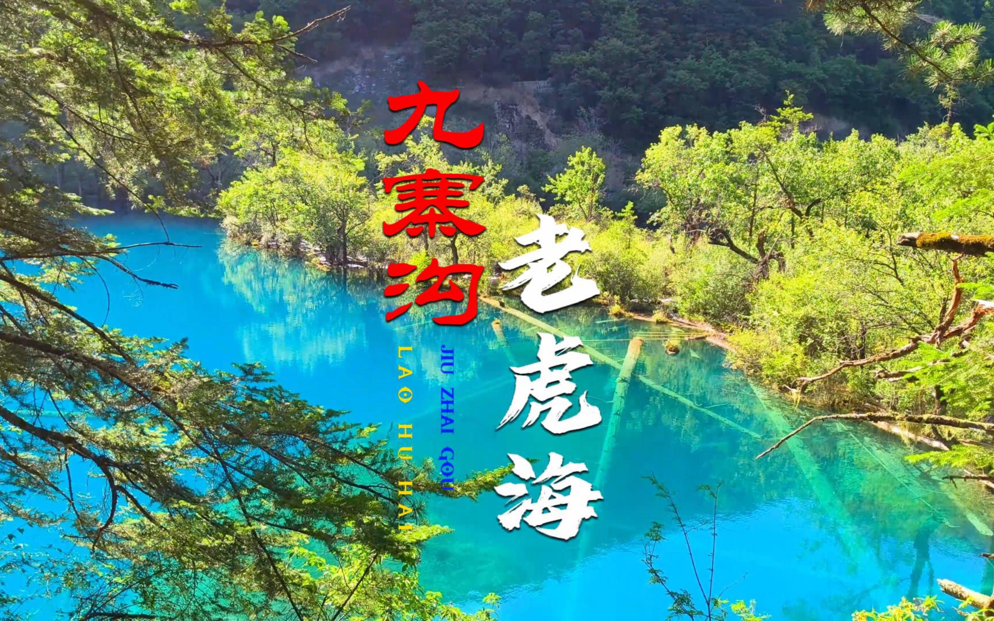 超清航拍 九寨沟老虎海 深邃恬静 沉默中蕴蓄着暴烈安谧中隐藏着桀骜
