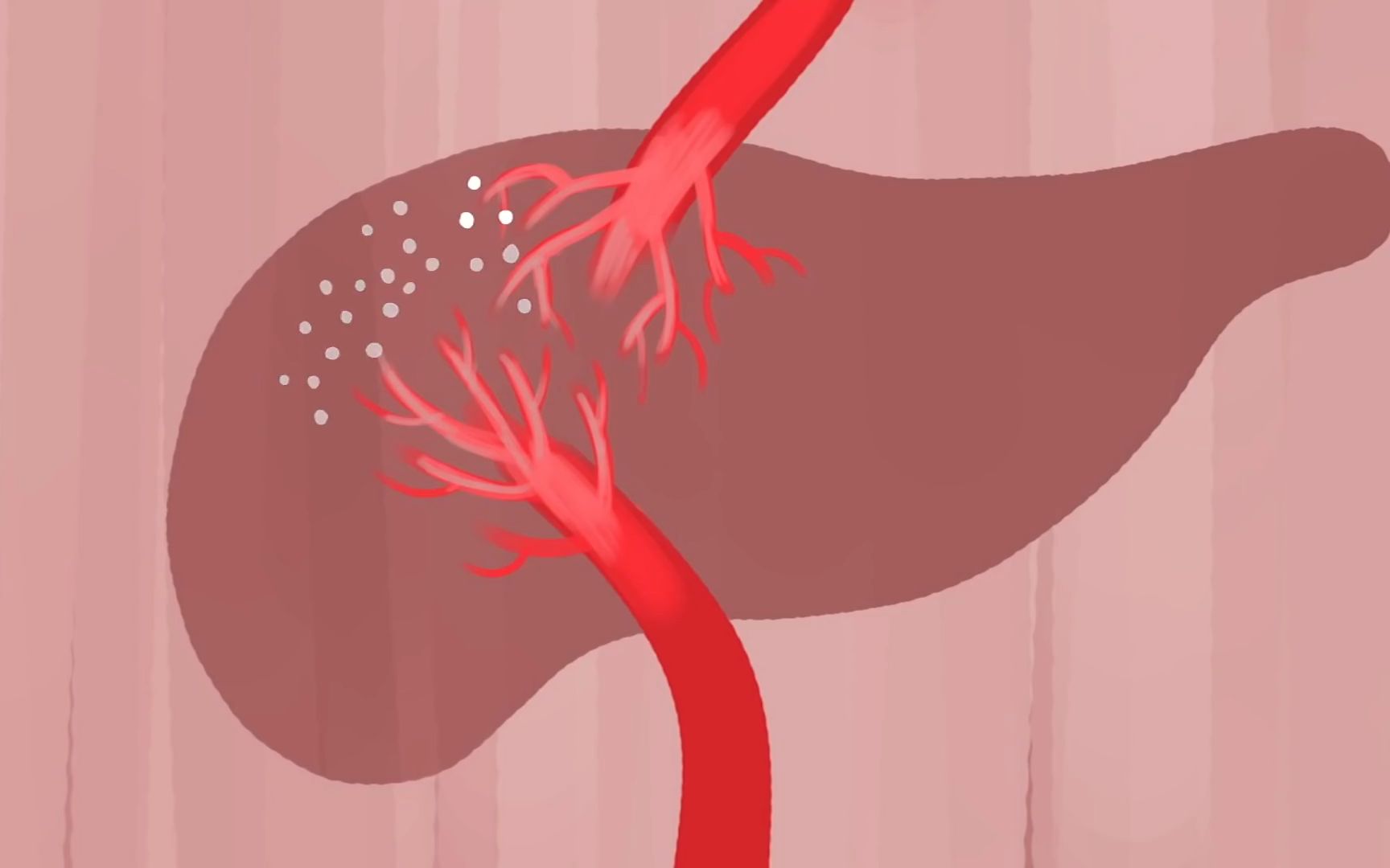 “沉默的器官”--肝脏在人体内的作用！3D动画