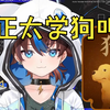 小狗正太
