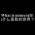 为了在英语课上宣传minecraft，我做出了这期视频
