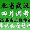 湖北省武汉市四月调考2025届高三数学试卷逐题讲解