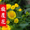 又是一种花，在药材里可谓是如雷贯耳，你有没有听说过它