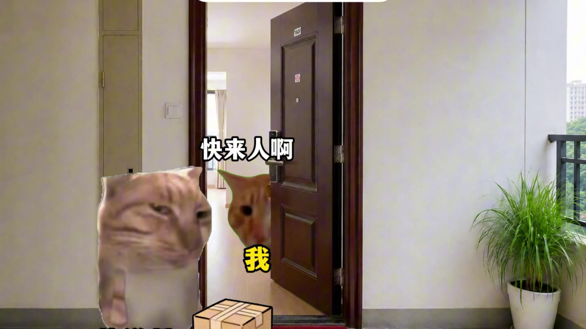 人之初性本恶