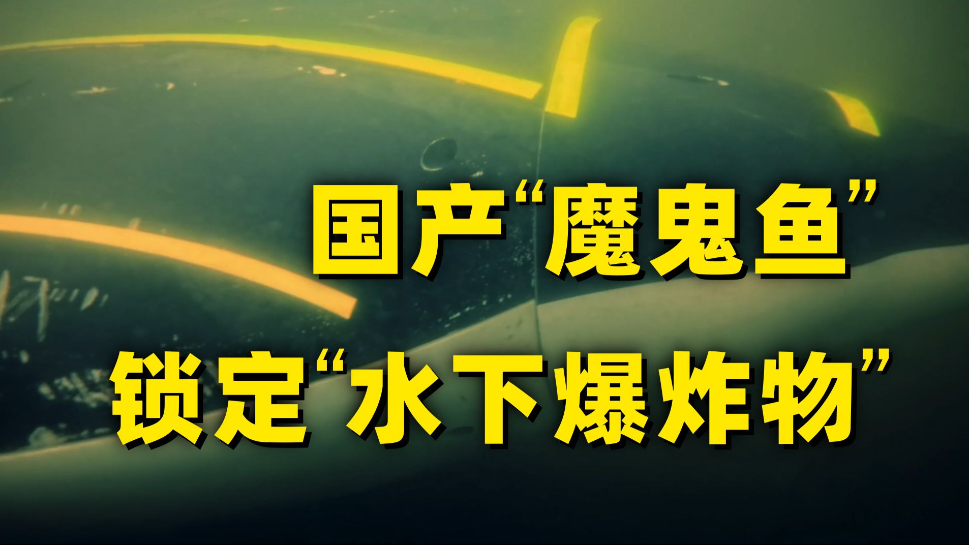全球首例！中国“魔鬼鱼”太全面了