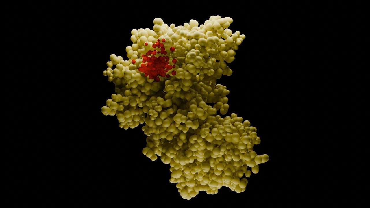 超震撼！4K高清看蛋白质“动起来”✨