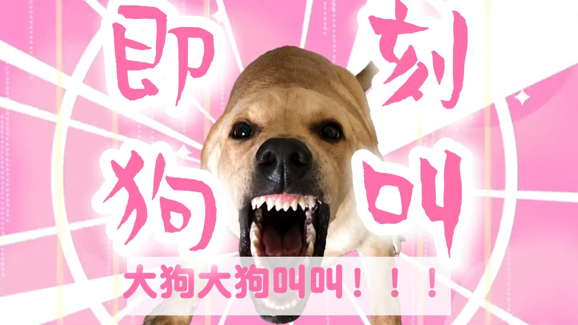 🐶即 刻 狗 叫🐶（即刻轮回）