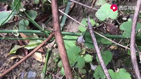 1ca8a023c8e7000b3e733ad2f2c51c38f0c659f0.jpg@480w_270h_1c