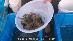 1cbfd3d4bee2228dc68fb141deb43eb115dc3d11.jpg@280w_158h_1c_100q.jpg