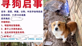 1cd4043008cd66ff0096b8b7b25bd415a12b3b25.jpg@280w_158h_1c_100q.jpg