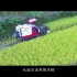 汉阴农业宣传片