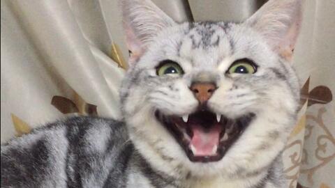 1cdddca6838743057cb783bf9d104693ef8106ec.jpg@480w_270h_1c