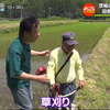 20190606 よじごじDays『田舎で発見!ご長寿さんの(秘)健康法』MC-薬丸裕英【生肉