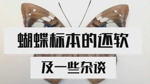 1d0cba105b9581f79b9dc5183553aed619578c36.jpg@310w_174h_1c_100q.jpg