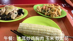 如何正常饮食控制体重 1d2519693ea08fb2e46e64f3960aa94420a831c0.jpg@280w_158h_1c_100q.jpg
